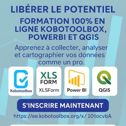 Libérez le potentiel | Formation 100% en ligne KOBOTOOLBOX POWERBI ET QGIS